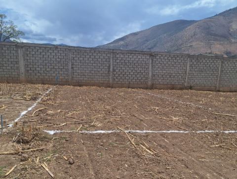 01.03.05 VICHAYCOTO - HUANUCO - TERRENO EN VENTA