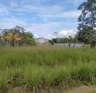 03.01.07 YARINACOCHA - PUCALLPA - TERRENO EN VENTA