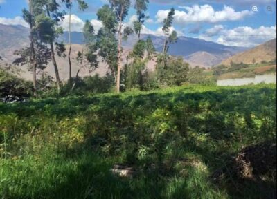 01.08.03 HUANCACHUPA - HUANUCO - TERRENO EN VENTA