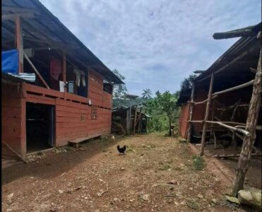 01.04.02 CAMPO VERDE - PUCALLPA - TERRENO EN VENTA