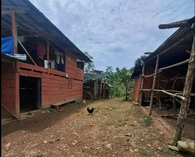 01.04.02 CAMPO VERDE - PUCALLPA - TERRENO EN VENTA