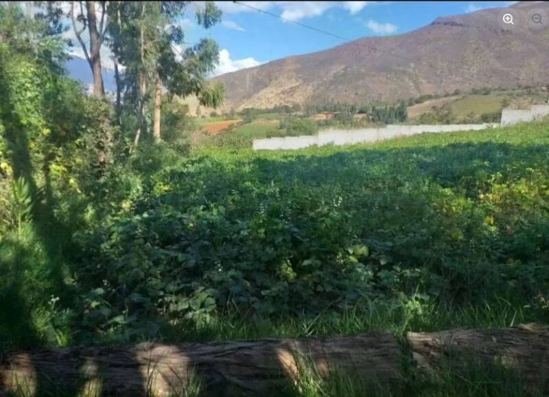 01.08.03 HUANCACHUPA - HUANUCO - TERRENO EN VENTA