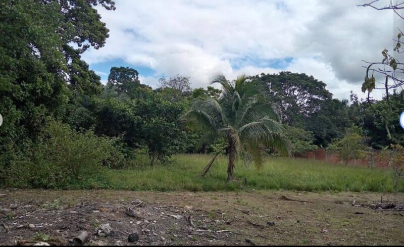 03.01.06 YARINACOCHA - PUCALLPA - TERRENO EN VENTA