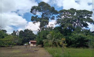 03.01.06 YARINACOCHA - PUCALLPA - TERRENO EN VENTA