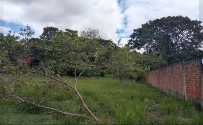 03.01.06 YARINACOCHA - PUCALLPA - TERRENO EN VENTA