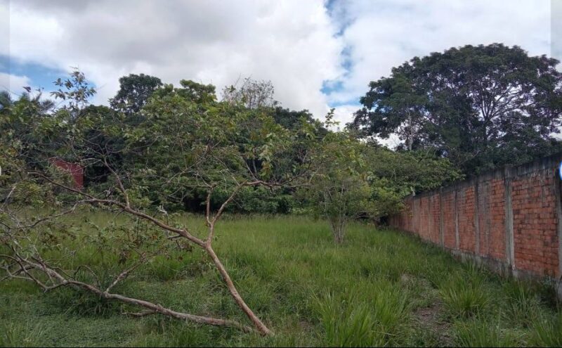 03.01.06 YARINACOCHA - PUCALLPA - TERRENO EN VENTA
