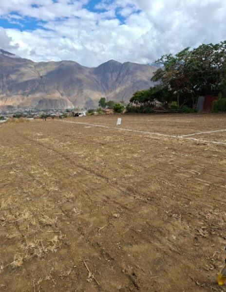 01.01.03 LA ESPERANZA - HUANUCO - TERRENO EN VENTA