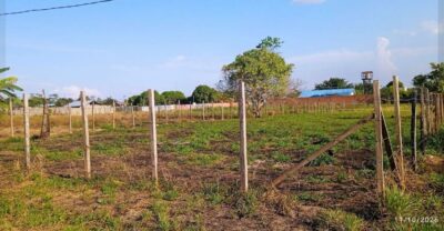 PU 03.03.06 PUCALLPA - MANANTAY - TERRENO EN VENTA