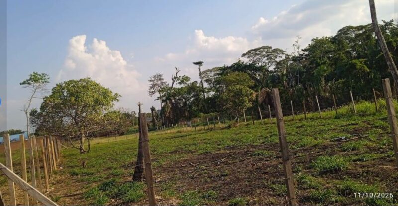 PU 03.03.06 PUCALLPA - MANANTAY - TERRENO EN VENTA